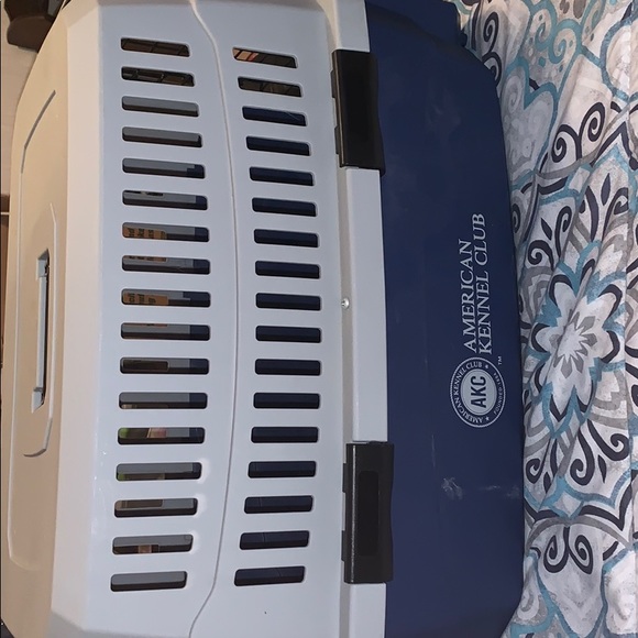 A small/medium dog - Picture 3 of 5